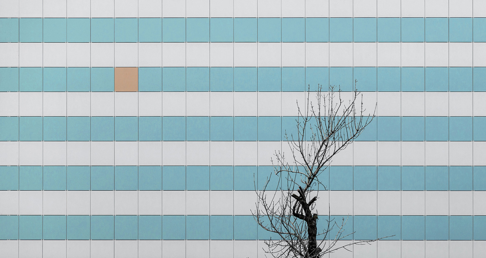 blanco, abstracto, Minimalismo, pared, simetría, verde, azul, patrón, textura, circulo, diseño de interiores, color, árbol, forma, diseño, línea, Revestimiento de ventana
