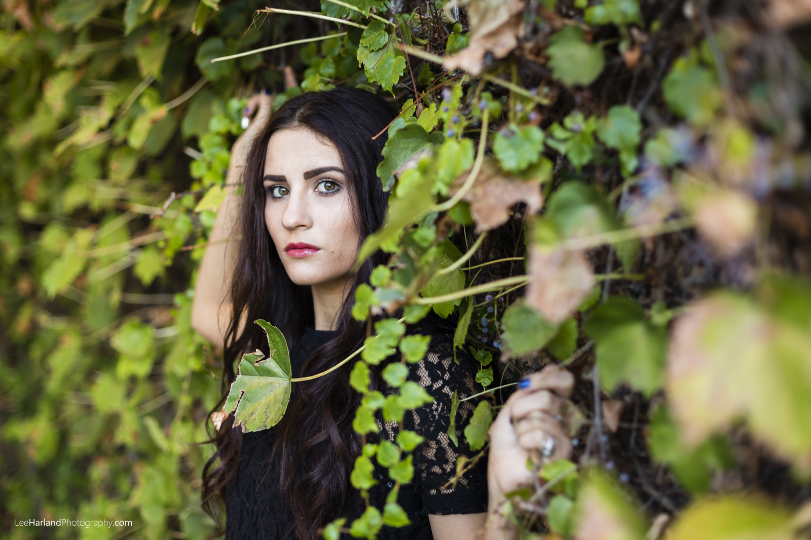 slunečnímu záření, les, model, portrét, oči, dlouhé vlasy, Příroda, bruneta, milovat, fotografování, zelená, Kánon, móda, Kalifornie, bokeh, džungle, jaro, Veronika, Krásná, strom, 50mm, podzim, list, květ, rostlina, dívka, krása, sezóna, oko, žena, flóra, dof, dáma, ženský, styl, fotografie, nádherný, střela do hlavy, ženský, Spojené státy, urbanportrait, účes, ženskost, dlouhé vlasy, outdoorportrait, místo výskytu, portrétní fotografie, focení, brunettehair, makadam, ivywall