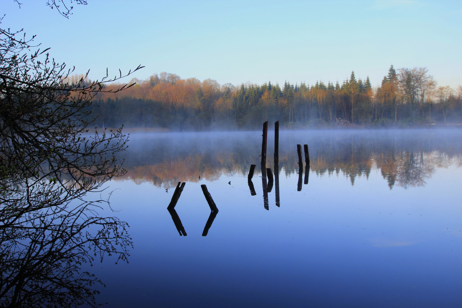 slunečnímu záření, krajina, jezero, voda, Příroda, odraz, tráva, nebe, větev, uklidnit, večer, ráno, mlha, řeka, horizont, atmosféra, divočina, rybník, banka, bažina, mír, molo, mokřadní, strom, mlha, ještě pořád, svítání, rostlina, odrazy, nádrž, jezero, bažina, vodní zdroje