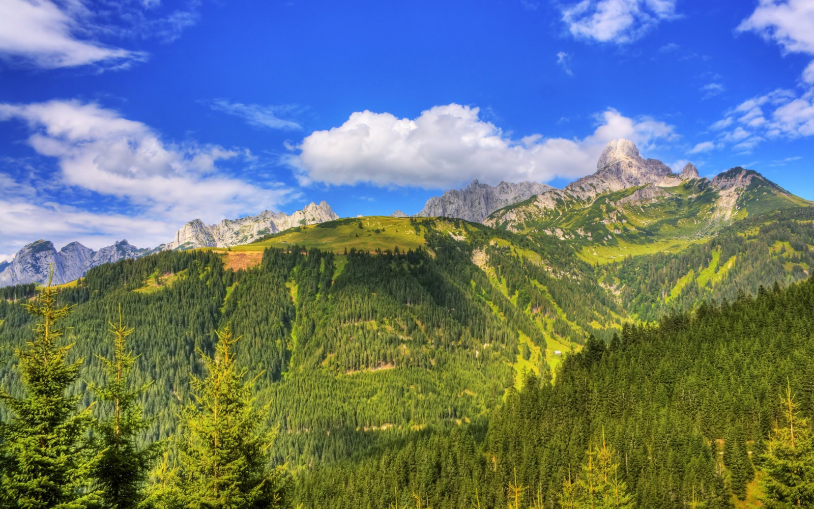 landskab, Skov, bjerge, bakke, natur, himmel, Nationalpark, dal, bjergpasset, ødemark, Alperne, plateau, ryg, Sky, træ, efterår, bjerg, græsarealer, eng, levested, naturligt miljø, vedplante, bjergrige landskabsformer, landskabsform, geografisk funktion, økosystem, tempererede nåleskove, biom, bjergkæde, lærk