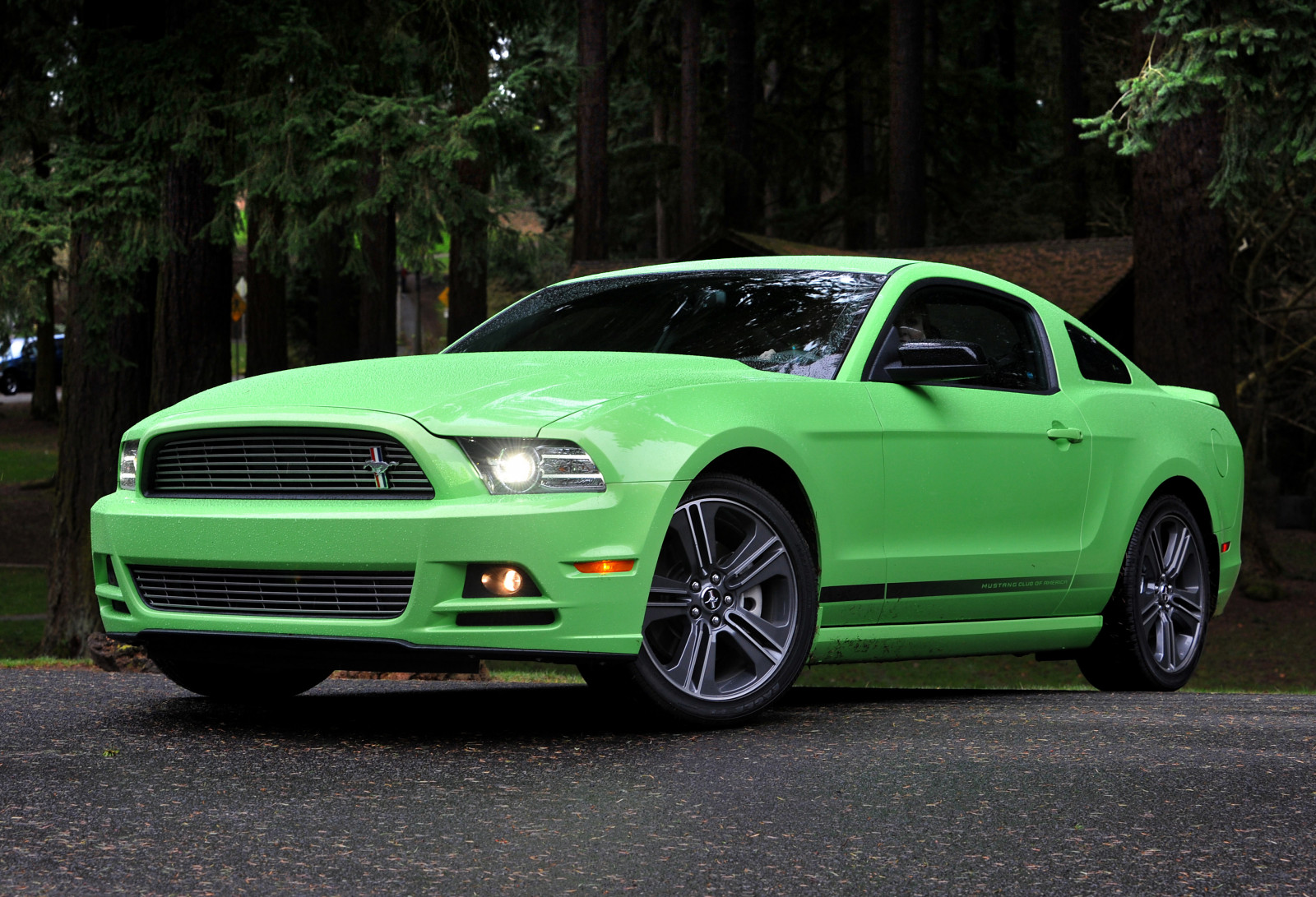 รถ, ยานพาหนะ, ฟอร์ด, 2013, รถคลาสสิก, ประสิทธิภาพรถ, netcarshow, netcar, ภาพรถยนต์, ภาพรถ, มัสแตง V6, ล้อ, ขอบ, ยานพาหนะบก, การออกแบบยานยนต์, ภายนอกยานยนต์, รถยนต์ทำ, กันชน, ยานยนต์, shelby mustang, รถกล้ามเนื้อ, รถขนาดเต็ม, เจ้านาย 302 Mustang