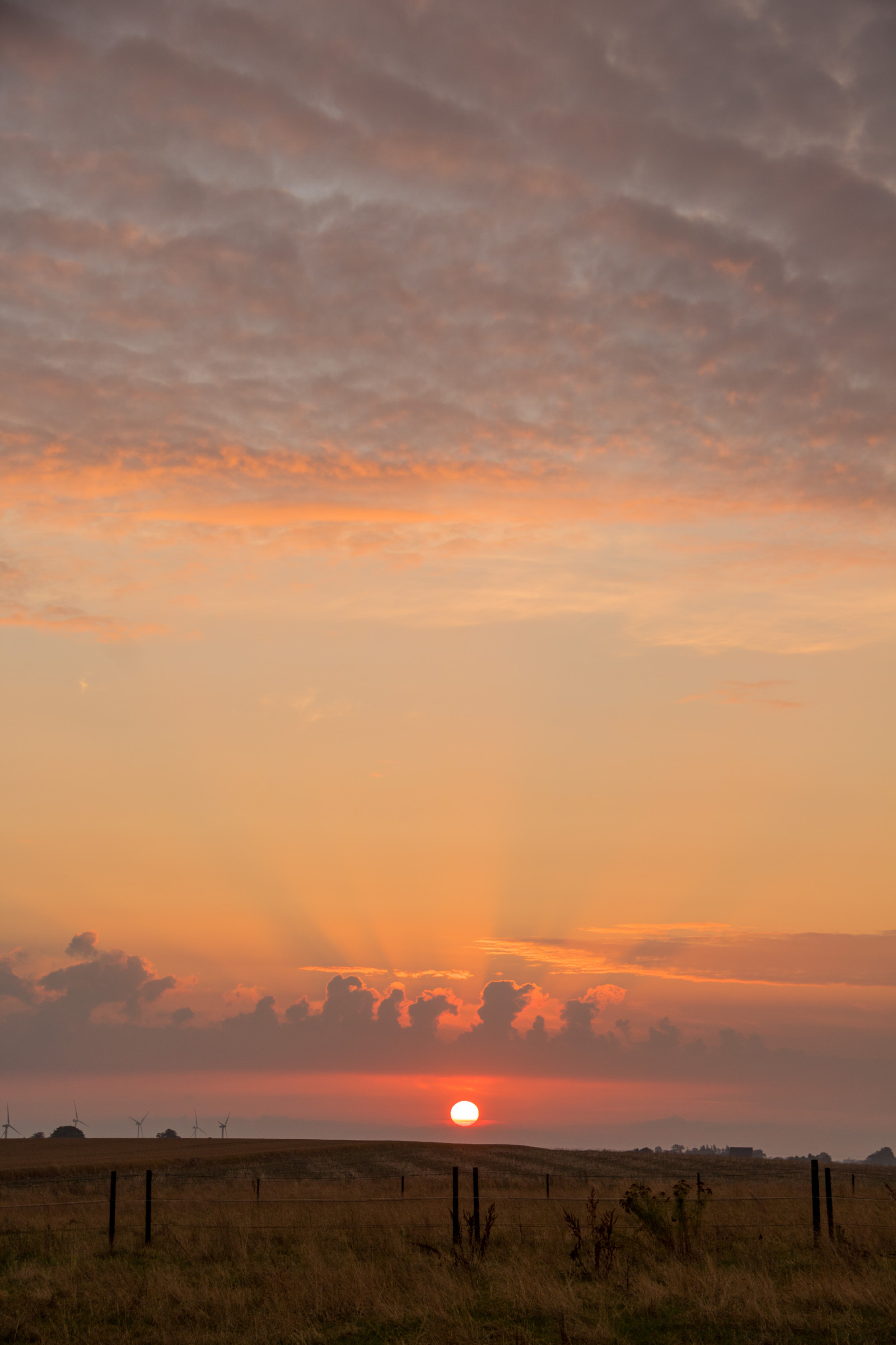 slunečnímu záření, krajina, západ slunce, moře, nebe, pole, svítání, večer, ráno, slunce, horizont, atmosféra, soumrak, mrak, svítání, zlatá hodina, nebe, venkov, moln, landsbygd, s dersl tt, landskap, exif modelu canoneos760d, geocountry, Kamera aby kánon, geocity, Model fotoaparátu canoneos760d, geostate, geolocation, EXIF čočka efs18200mmf3556is, exif aby kánon, EXIF isospeed 100, EXIF otvor 71, exif focallength 50mm, gyllenetimmen, prostý, prérie, atmosférický jev, odlesk, červená obloha v dopoledních hodinách