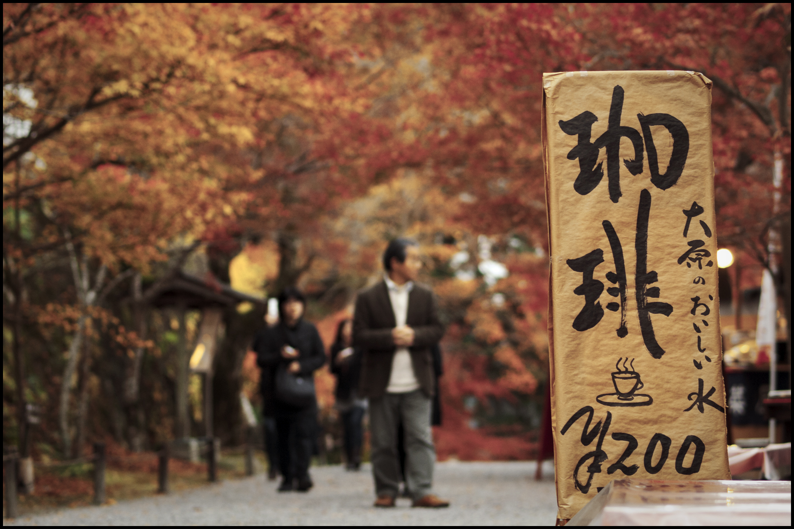 Japonsko, chrám, podzim, listy, lidé, Červené, silnice, žlutý, káva, podepsat, oranžový, japonský, bokeh, cesta, chůze, Kyoto, strom, podzim, vibrující, živý, barvitý, zd, Kansai, rekreace, 50mmmacro20, 50mmmacrof20, panasonicdmwma1, olympusep1, Ohara, Sanzenin, Sakyoku