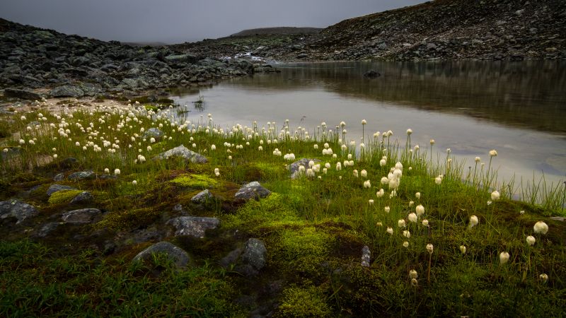 landscape, lake, water, sky, reflection, grass landscape, lake, water, sky, reflection, grass
