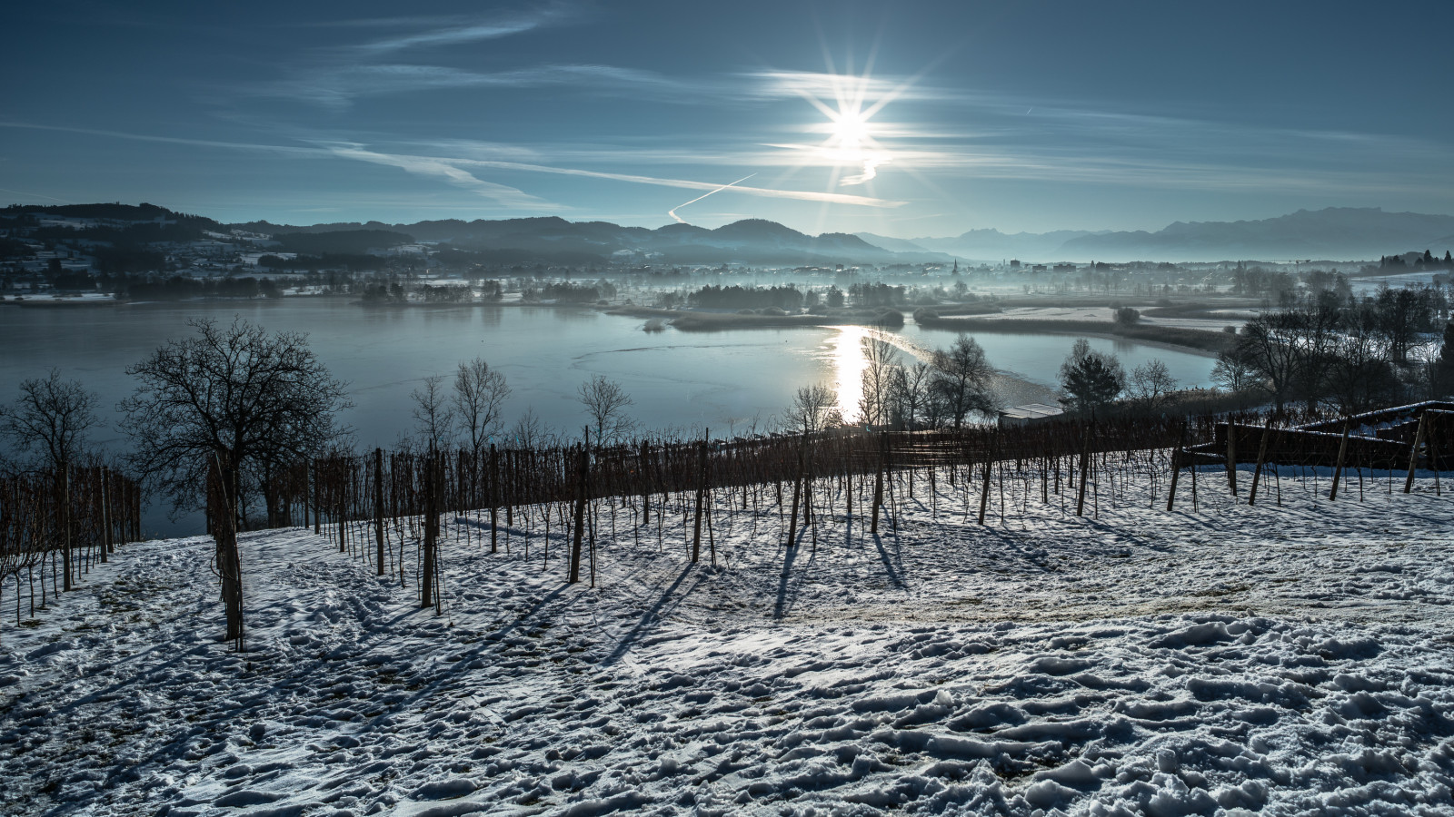 slunečnímu záření, krajina, kopec, jezero, voda, Příroda, odraz, nebe, sníh, zima, větev, svítání, led, večer, ráno, mráz, řeka, slunce, horizont, atmosféra, Švýcarsko, vinice, zmrazení, mlhavý, mlhavý, kouřové, světlo, mrak, strom, mlhavý, hora, svítání, rostlina, natur, carlzeiss, mrazivý, Sonnenaufgang, vidět, Schweiz, baum, syn, manuál, Ruč, svizzera, a7rii, mf, suisse, Nebel, Wintersun, jezero, pohoří, jev, sonyilce7rm2, sonyflickraward, lanschaft, manuellerfokus, alpha7rm2, Manuell, Zeissloxia2128, Pf ffikon, Viz, Rebberg