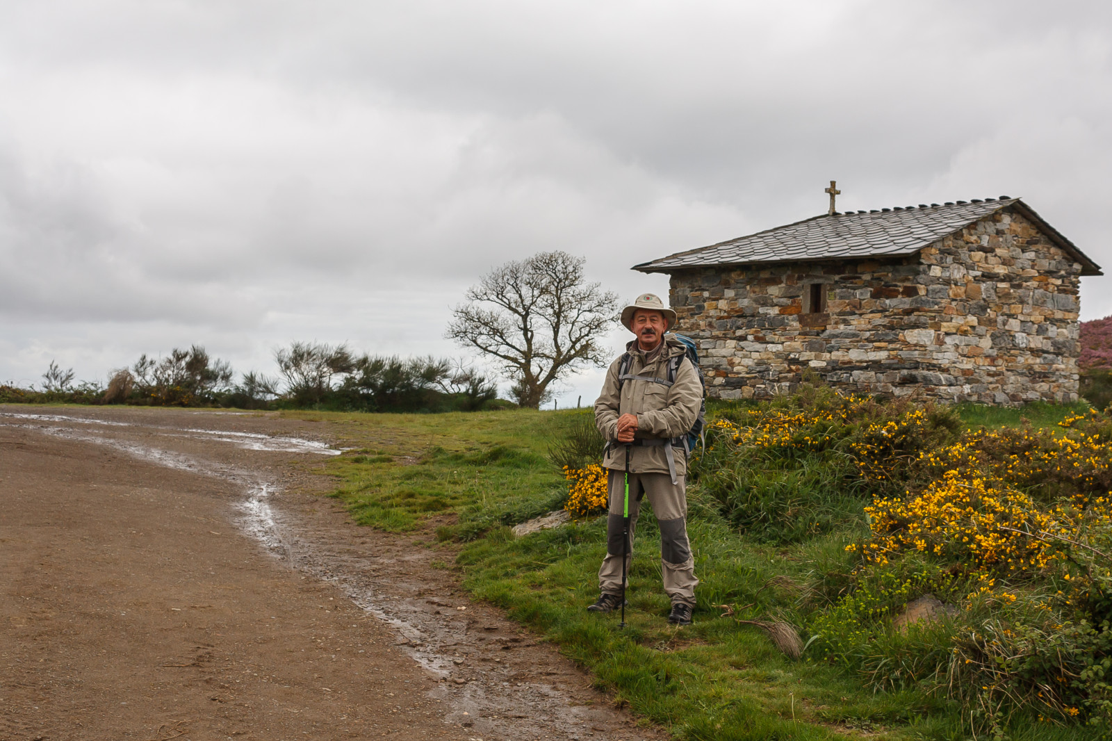blomster, Espana, naturaleza, flores, rejsende, verde, grøn, kirke, natur, gul, landdistrikterne, landskabet, Spanien, Iglesia, viajando, Galicien, amarillo, backpacking, Lugo, pilgrim, caminodesantiago, Peregrino, caminando, Capilla, Chappel, caminoprimitivo, ruralarchitecture, thewayofsaintjames, arquitecturarural, Montouto, hospitaldemontouto, altodehospital