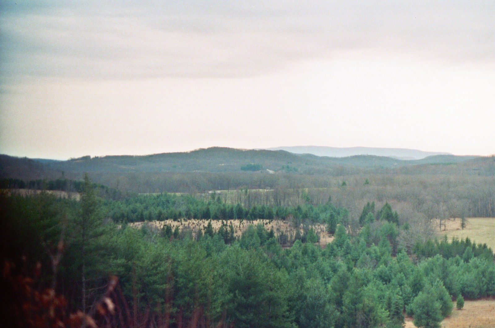 film, analogový, 35MM, Minolta, analog, 202, SRT, analogový