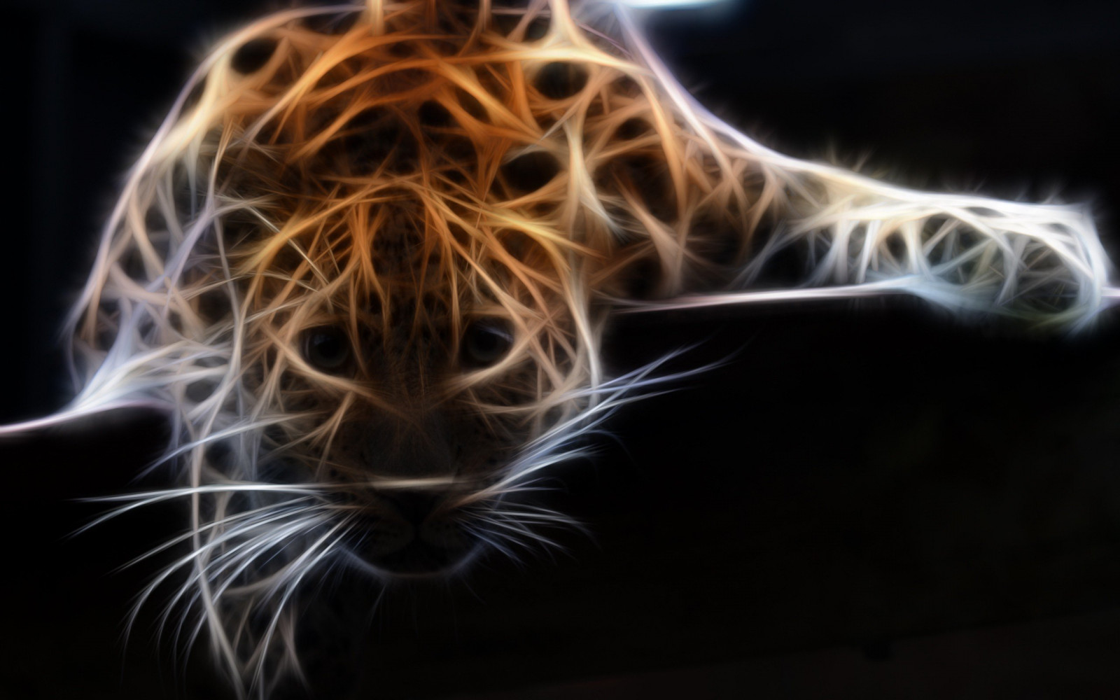 2560x1600 px, Adobe Photoshop, Fractalius, leopard, Volně žijících živočichů