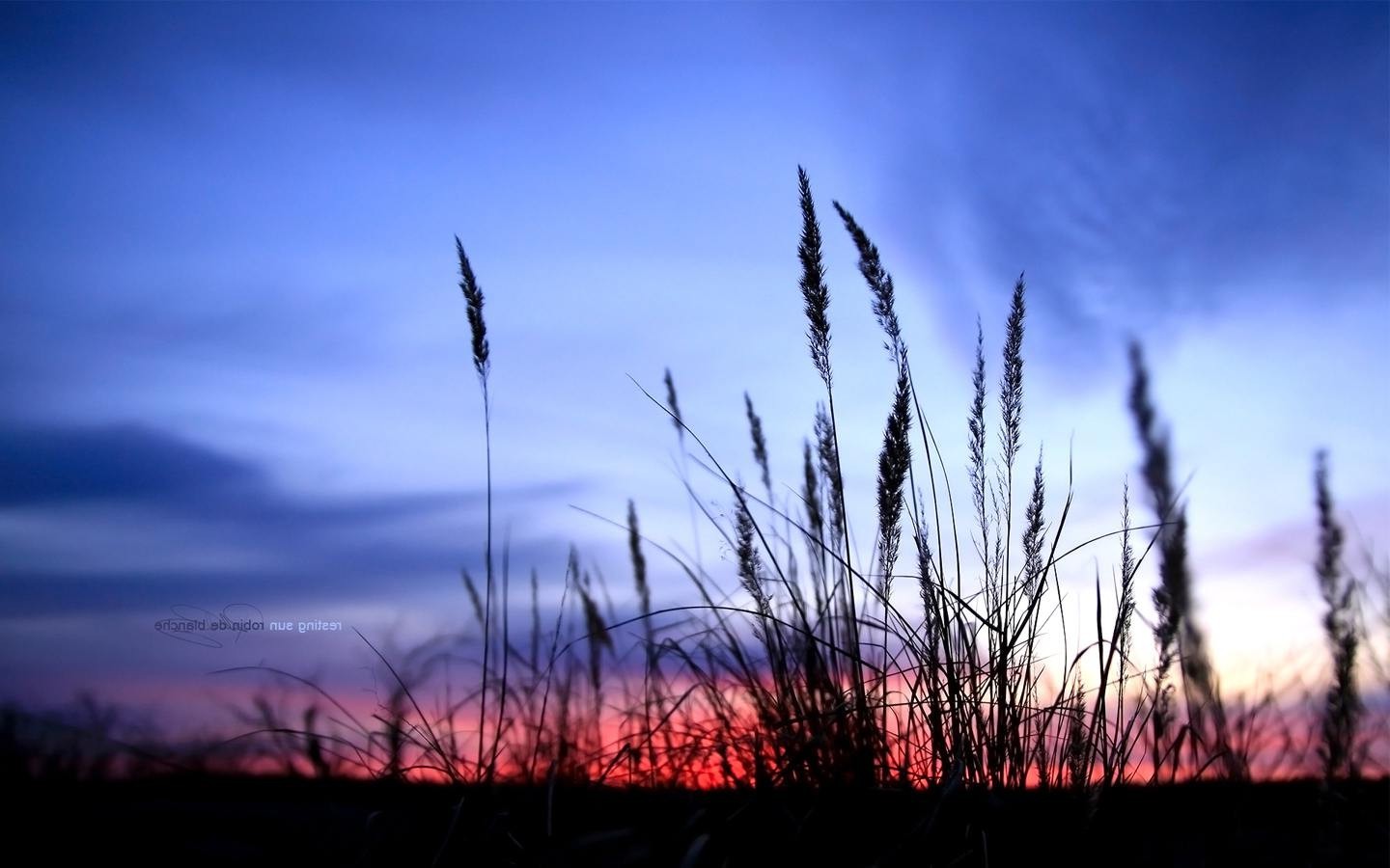 Sonnenlicht, Sonnenuntergang, Natur, Betrachtung, Gras, Himmel, Schatten, Feld, Sonnenaufgang, Abend, Morgen, Wind, Horizont, Atmosphäre, Dämmerung, Wolke, Dämmerung, Prärie, 1440x900 px, Atmosphärisches Phänomen, Grasfamilie