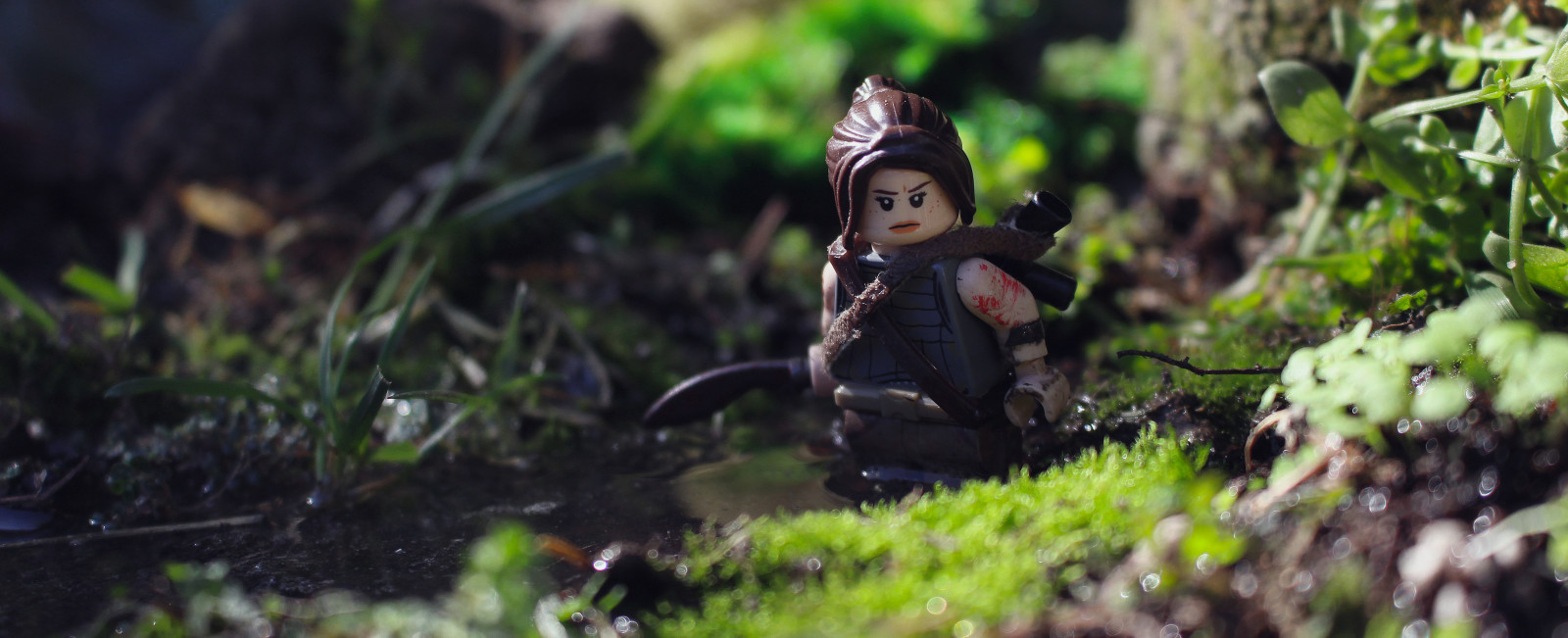 les, tráva, venku, pole, fotografování, makro, Xbox, LEGO, oheň, Kánon, džungle, hrobka, 2016, strom, flickr, jeden, rostlina, venkovní, mimo, hloubka, stvoření, minifigure, edice, moc, Microscale, lara, minifig, fík, Kyle, PS4, políčko, Hardisty, IRL, nájezdník, definitivní