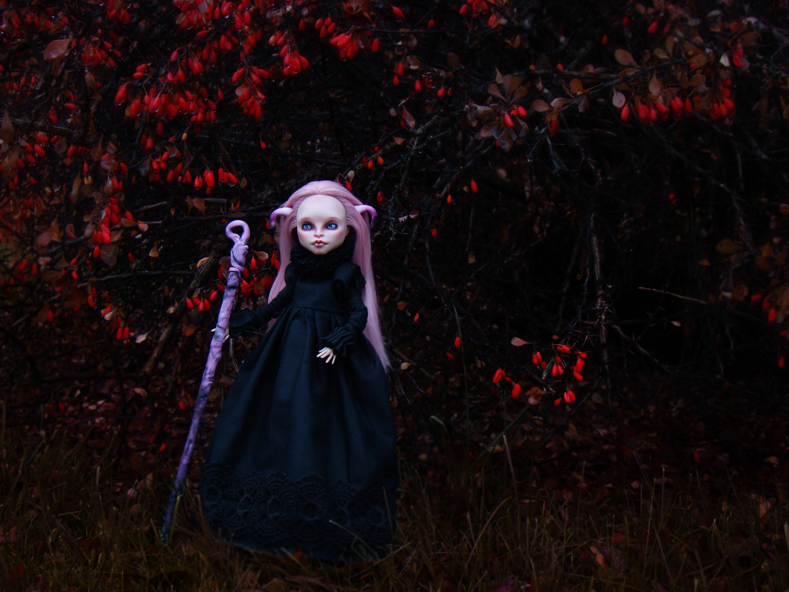 sort, model, nat, rød, græs, horn, dæmon, bær, lyserød, dukke, brugerdefinerede, midnat, baronesse, Gorgon, scene, træ, efterår, høj, pige, Foto, Mattel, mørke, uhyre, computer tapet, goth subkultur, OOAK, viperin