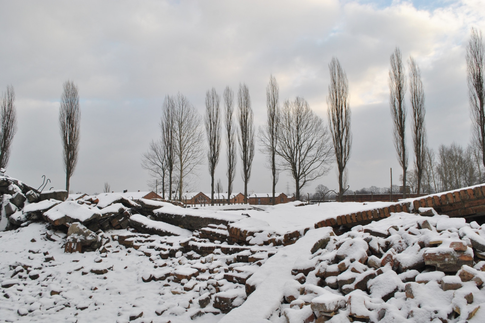 krajina, hrůza, nebe, sníh, zima, dřevo, led, mráz, Polsko, zmrazení, židé, Osvětim, mrak, strom, hora, zoufalství, saddness, koncentrační tábor, Deathcamp, plynová komora
