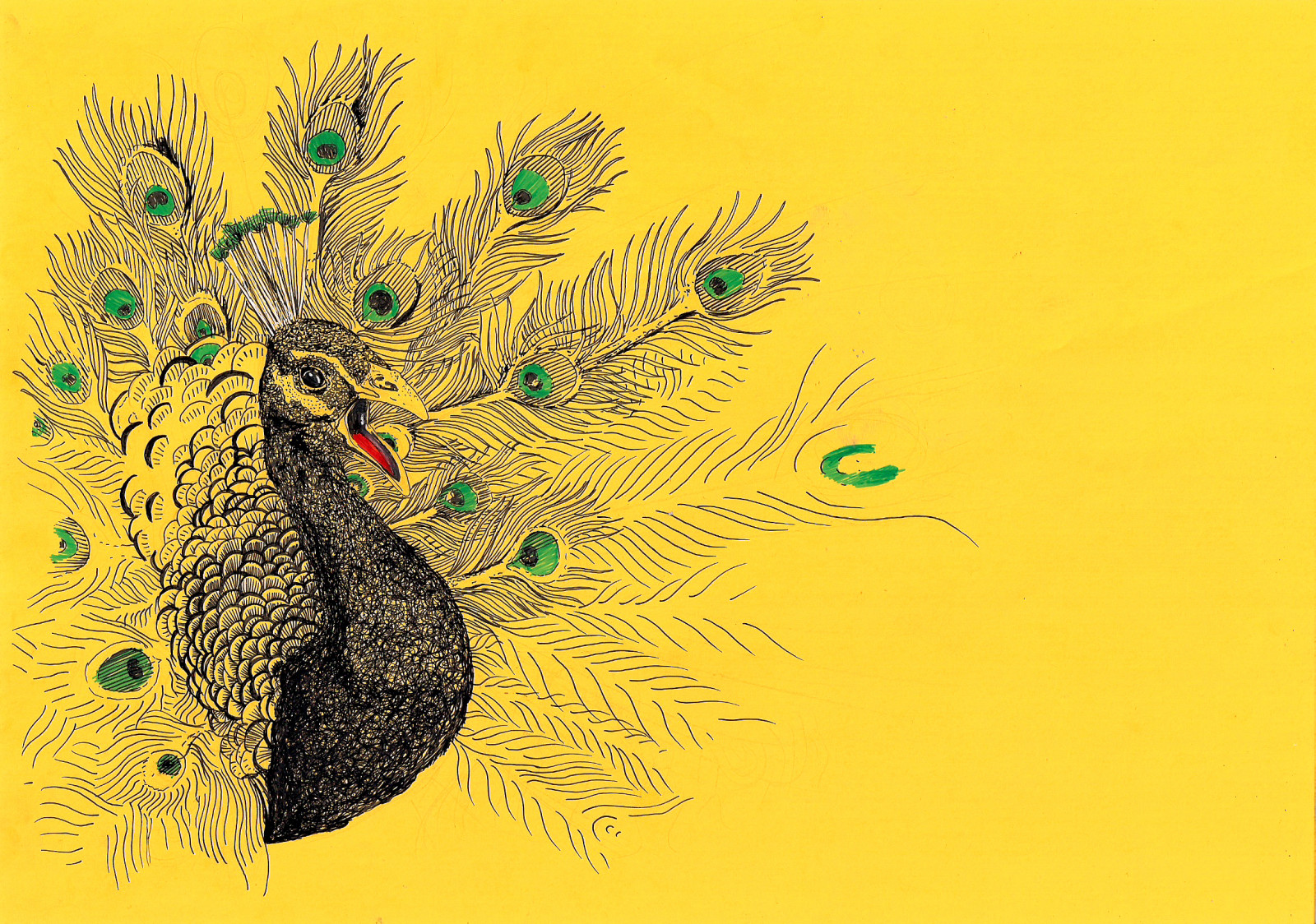gul, bläck, Kalkon, papper, verklig, amarillo, a4, tinta, Pavo