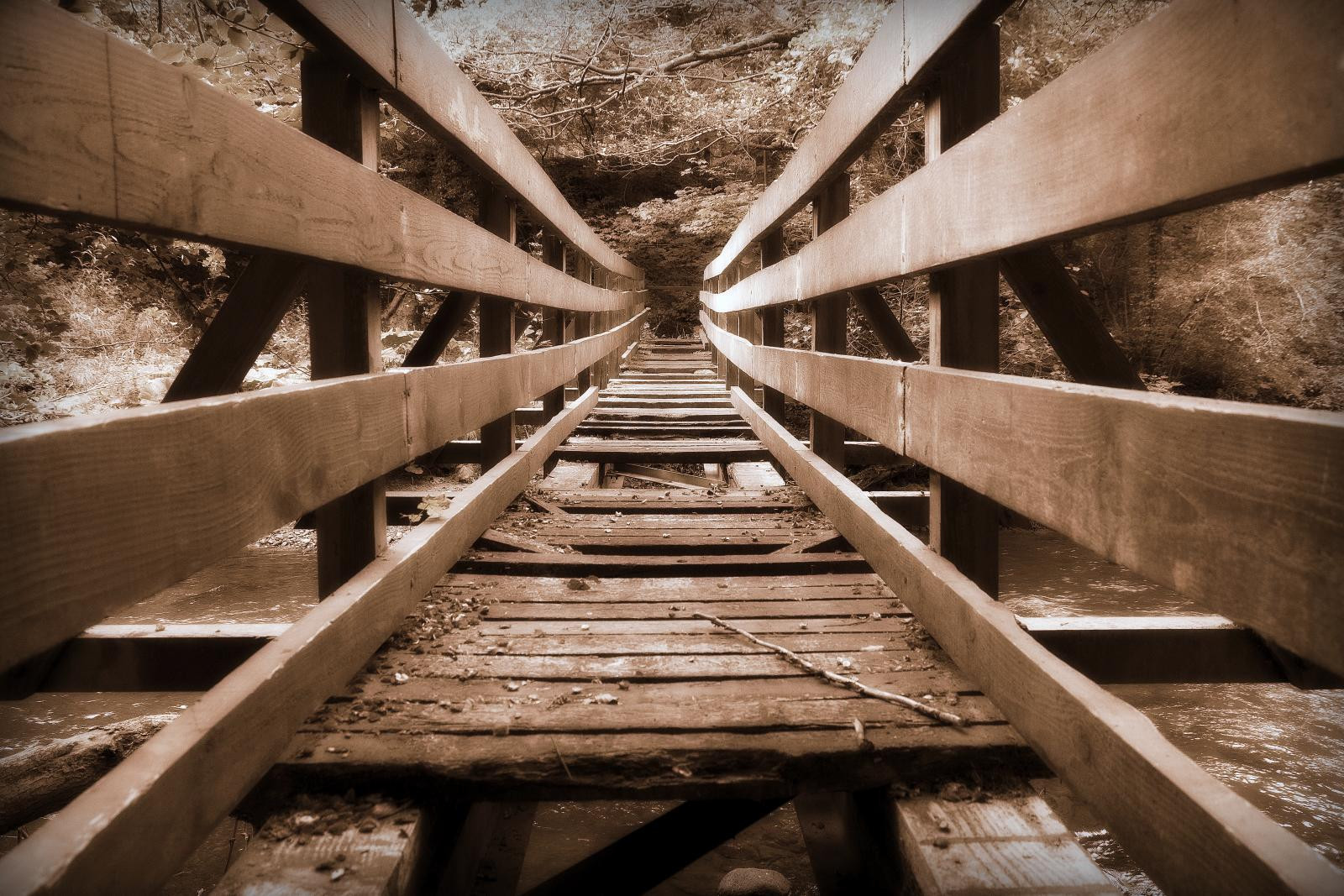 Decayed Bridge Wallpaper : water, wood, Scotland, symmetry, bridge, stream, decay ...