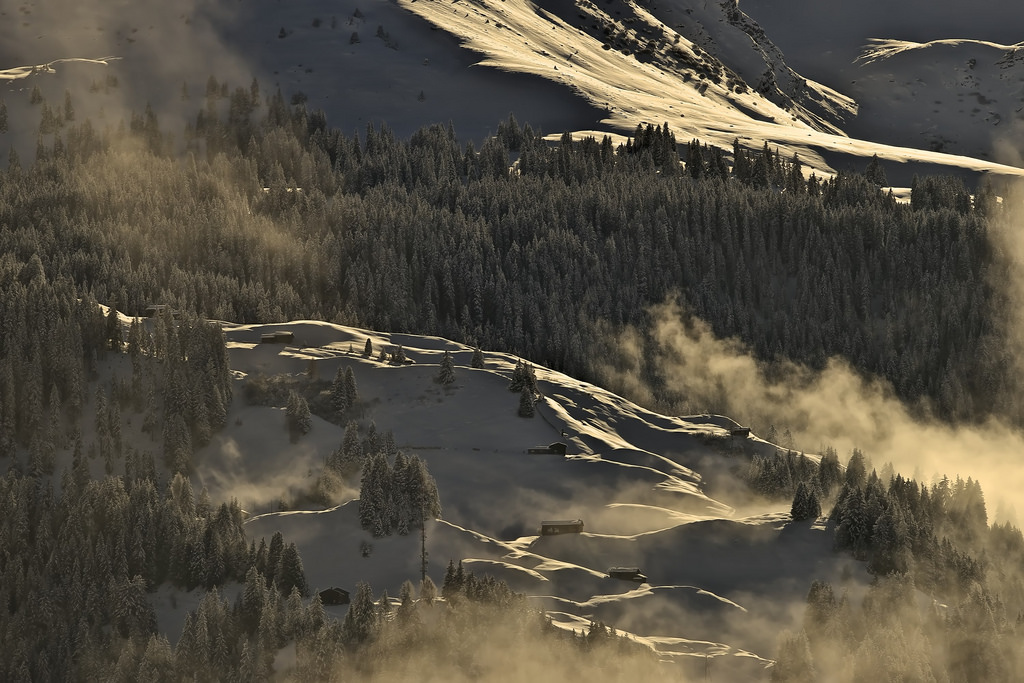Schnee, stromy, domy, Dům, hora, sníh, Alpy, berg, Skála, mlha, pohádka, kontrast, les, Schweiz, Švýcarsko, Nebel, Sony, kouzlo, kopec, haus, mlhovina, mystický, alpen, alfa, sněžení, polední, kontrast, Wald, zakletý, Mittag, mystisch, Felsen, Snowpack, schneefall, Pane, uživatel ha, ba UME, schneedecke, Berghang, mountainslope, graubu nden, HU gel, manuelmartin, Pra ttigau, a99v