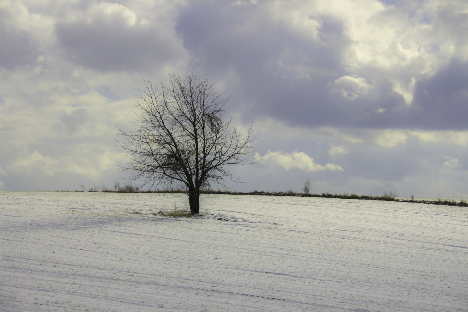 slunečnímu záření, krajina, bílý, moře, jezero, Příroda, pobřeží, písek, nebe, sníh, zima, pole, mraky, modrý, led, ráno, mráz, vítr, horizont, zmrazení, mokřadní, mrak, scéna, strom, scenérie, počasí, svítání, rostlina, sezóna, venkov, prostý, místo výskytu, přírodní prostředí, atmosférický jev, dřevina