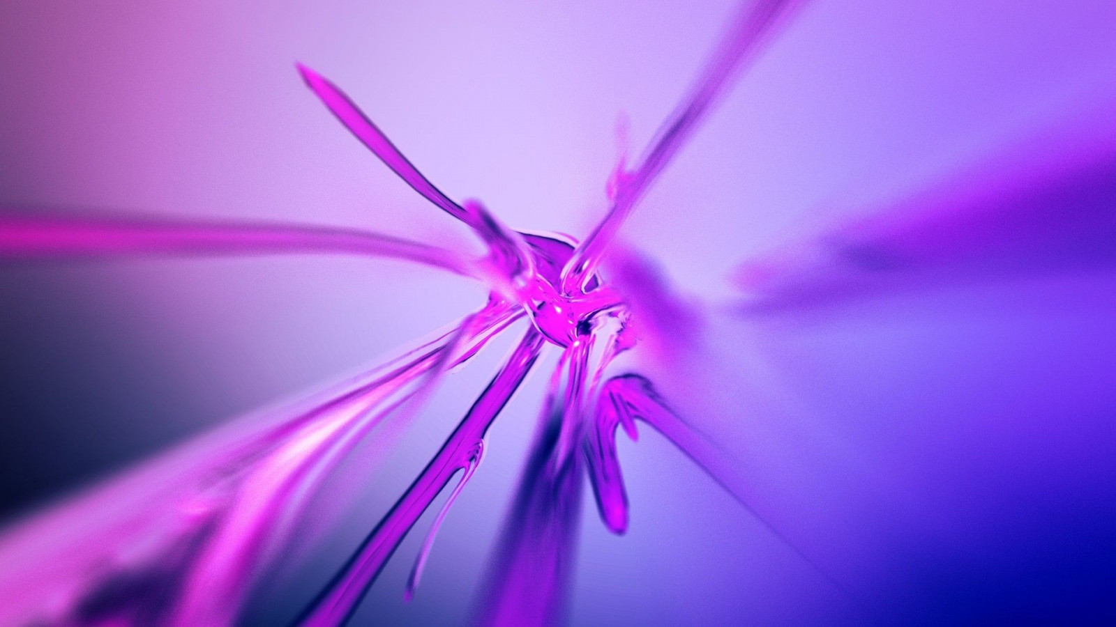 solljus, digital konst, abstrakt, fotografi, konstverk, lila, fjäril, insekt, flytande, rosa, ljus, Färg, blomma, linje, kronblad, vinge, dator tapet, fractalkonst, närbild, makrofotografering, ryggradslös