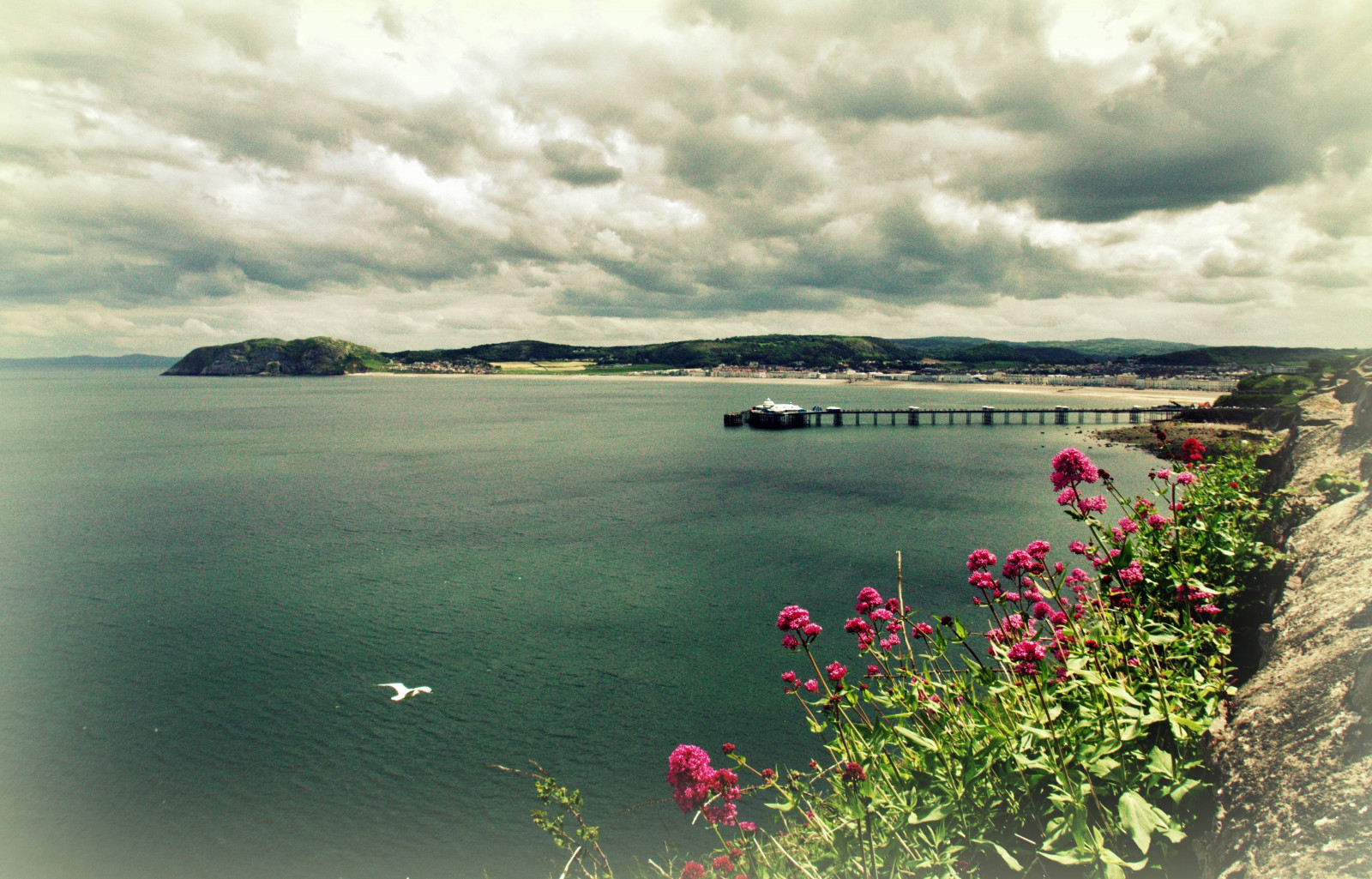 paesaggio, mare, fiori, baia, lago, acqua, puntellare, cielo, nuvole, calma, costa, natura, Canone, orizzonte, molo, Galles, nube, oceano, gabbiano, skyscape, paesaggio marino, muri, serbatoio, Regno Unito, cannon600d, visualizzazioni, lago, llandudno, corpo d'acqua, insenatura, coastal and oceanic landforms
