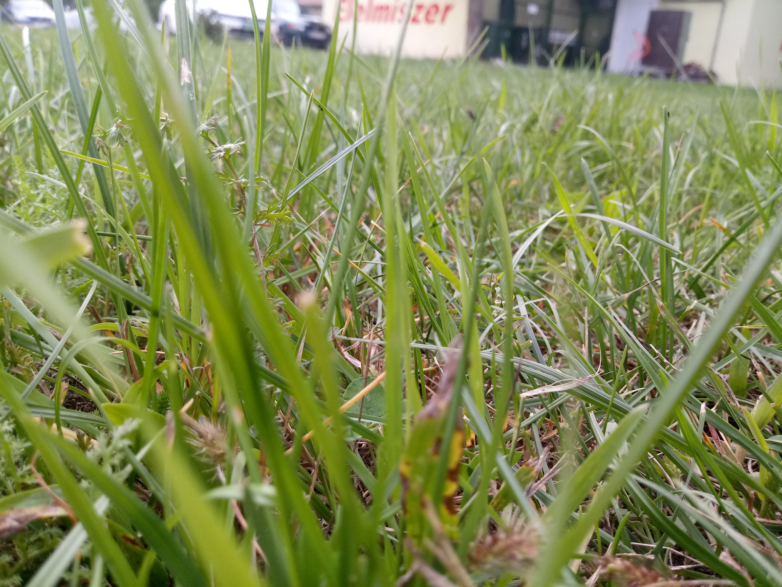 Papel De Parede Natureza Lado De Fora 4160x3120 Destex 1951111
