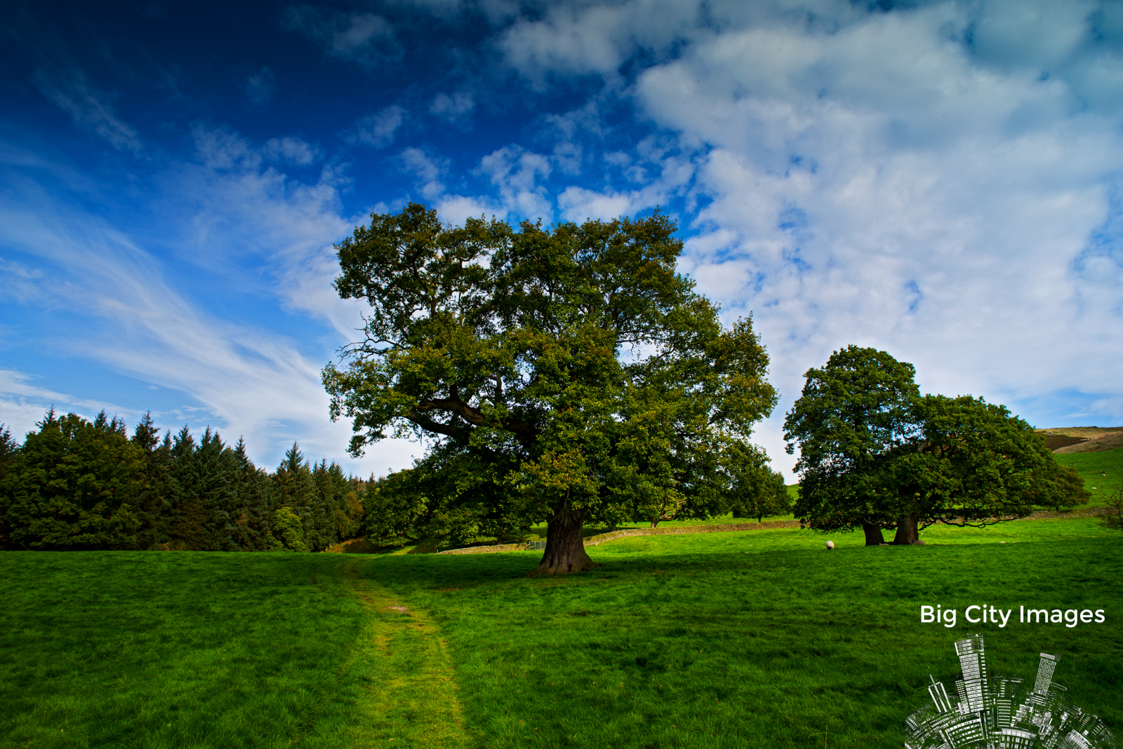 park, starý, Spojené království, cestovat, modrý, stromy, Anglie, nebe, strom, zelená, Opatství, tráva, mraky, les, sezóna, krajina, venku, site, Evropa, místo, zakalený, Británie, Yorkshire, gotický, Severní, scénický, kultura, mezník, scéna, Bolton, severní, zájem, Severní Yorkshire, Dales, Yorkshire Dales, Boltonabbey