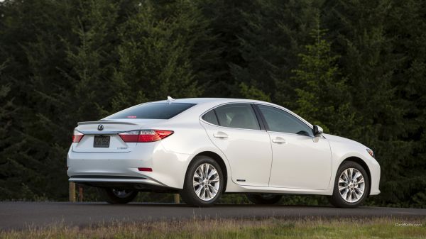 кола,превозно средство,Lexus,бели автомобили,лимузина,Lexus ES300h