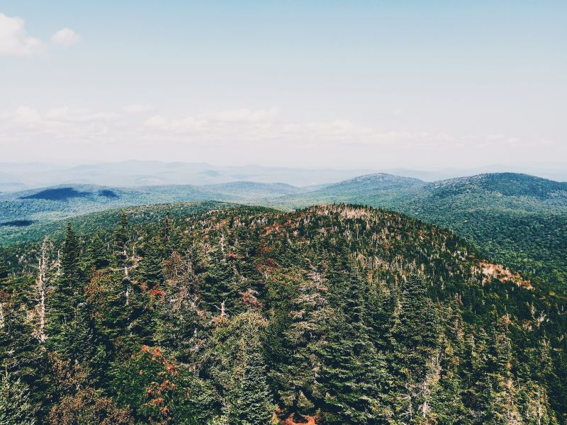 Árboles, paisaje, bosque, colina, naturaleza, niebla Árboles, paisaje, bosque, colina, naturaleza, niebla