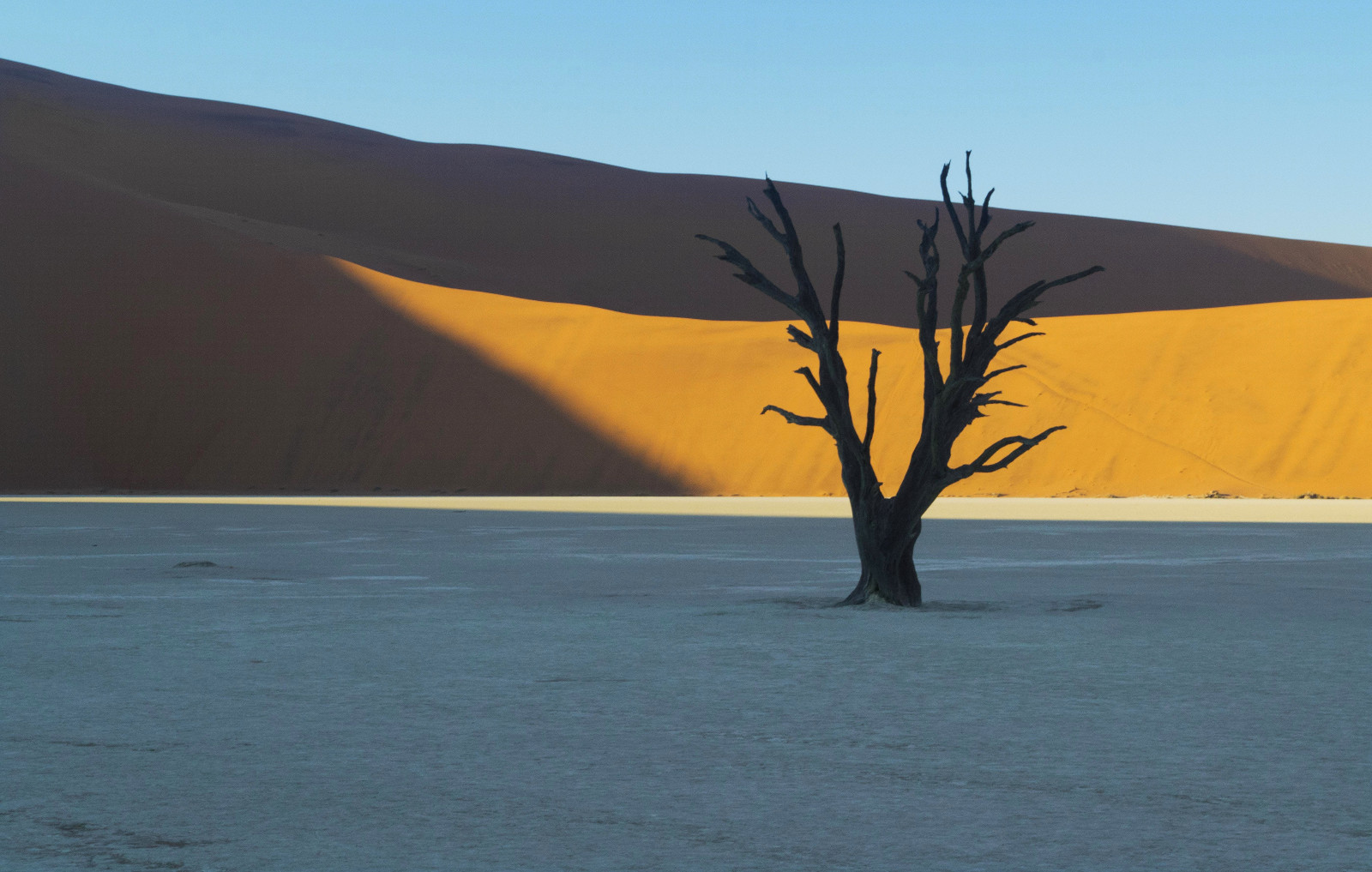 ทราย, เนินทราย, ทะเลทราย, namib, Namibia, แอฟริกา, รุ่งอรุณ, พระอาทิตย์ขึ้น, ตาย, Vlei, ต้นไม้, sossus