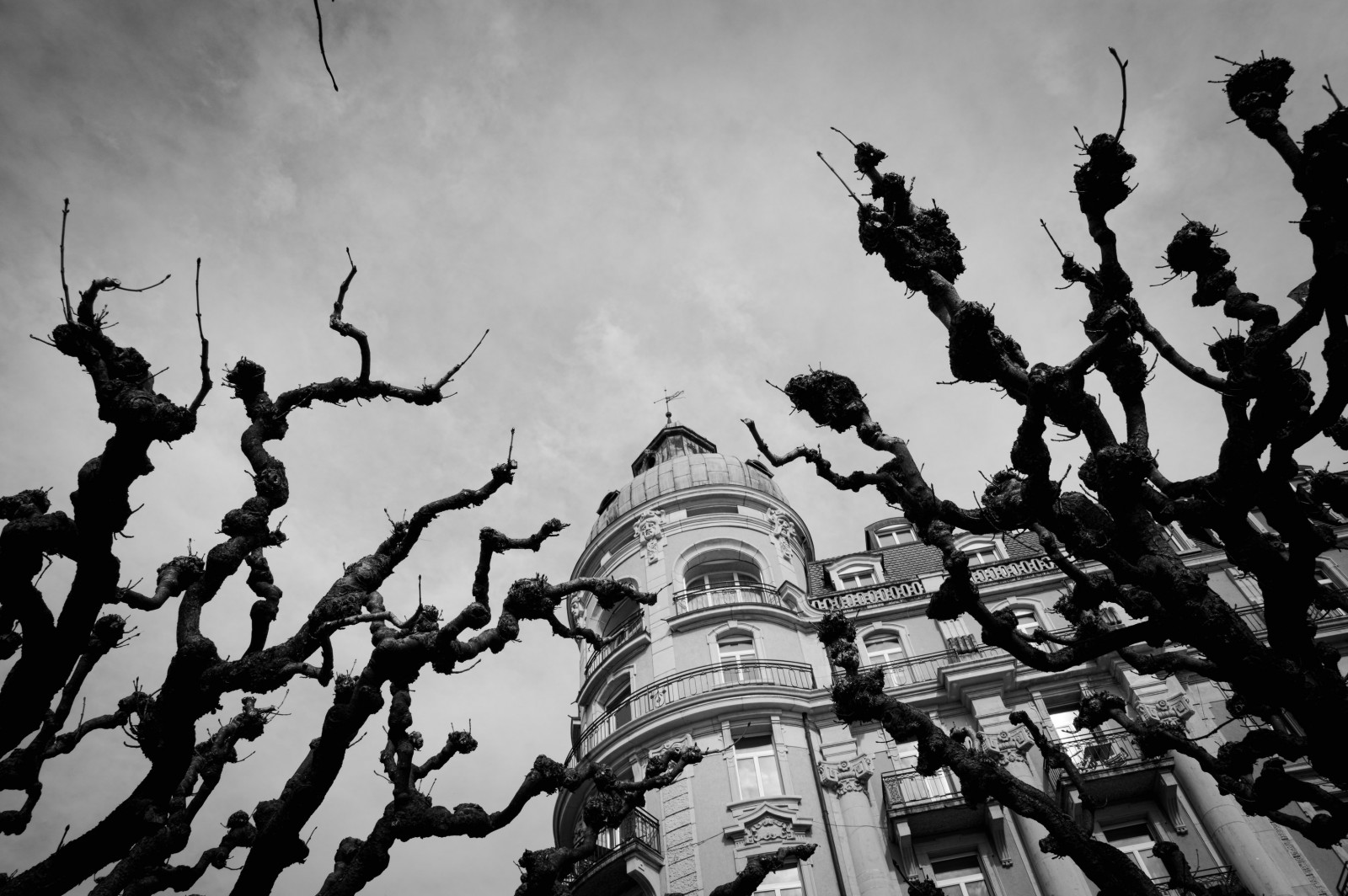 tempel, kontrast, sort, monokrom, arkitektur, bygning, himmel, fotografering, Hotel, Schweiz, fangarme, perspektiv, Luzern, træ, F28, op, bw, sort hvid, grene, form, fotografi, mørke, menneskemængde, schweiz, nikond7100, sort og hvid, monokrom fotografering, sigma1750, lucerne, nationalquai
