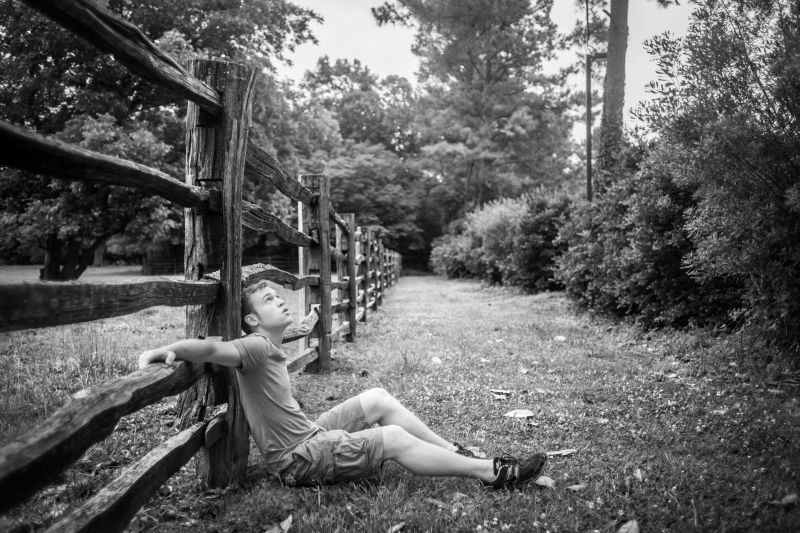 Černý a bílý, strom, fotografie, Černá, Příroda, dřevina