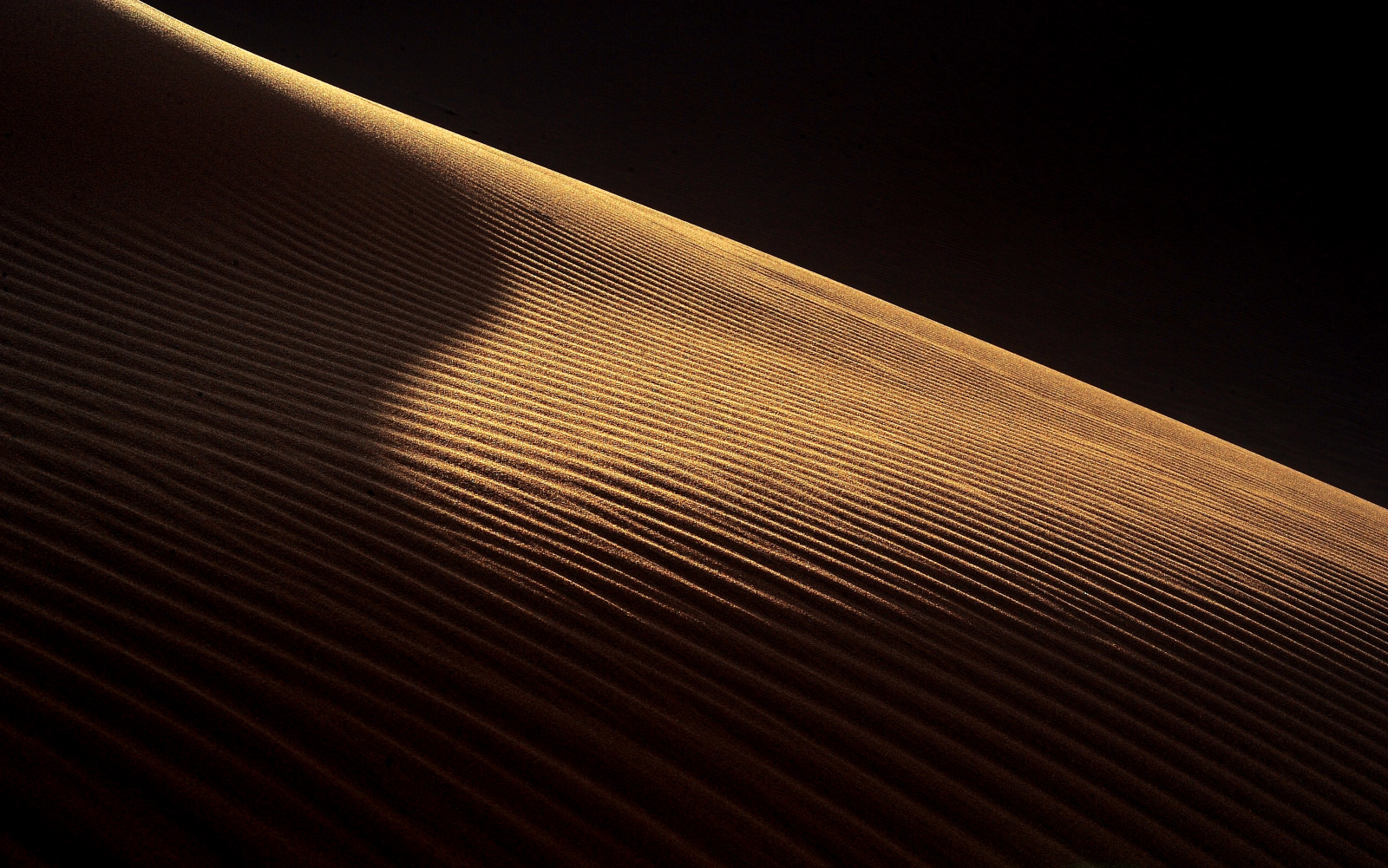 sollys, landskab, kontrast, sort, mørk, solnedgang, natur, sand, afspejling, silhuet, træ, jorden, mønster, ørken, cirkel, Nikon, guld, klit, skarp, KUNST, Ekspedition, lys, farve, fredfyldte, scene, klitter, glat, belysning, bølge, skygge, kurve, materiale, form, linje, loft, mørke, Safari, jord, vinge, billede, kurver, lightandshade, krusning, klitter, mørkt lys, atmosfære af jord, tæt på, makrofotografering, darkandlight, piblede, goldensand, lightanddark, rippledsand, arabiandesert, desertart, Dunescape, reddunes, goldenwave, greatsand, desertphotography, ripplesand, nikon80200lens, desertphotographer, nikonlense, sunsetdunes, lightandsadow, desertexpedition, desertfineart, serenescenepicture, darktonalityphotography, landandsand, shadwoandlight