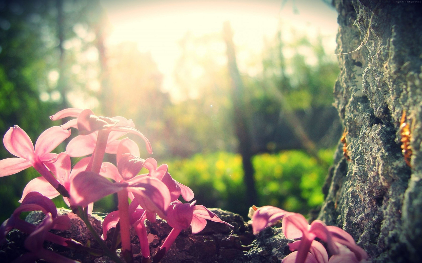 Wallpaper : 3840x2400 px, photography 3840x2400 - goodfon - 1213824