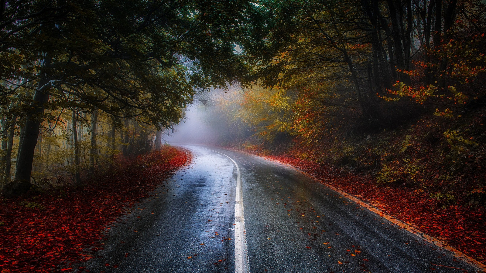 slunečnímu záření, stromy, krajina, les, podzim, listy, Příroda, Červené, silnice, fotografování, modrý, večer, ráno, mlha, Řecko, křoví, světlo, strom, podzim, list, rostlina, sezóna, tma, zálesí, místo výskytu, atmosférický jev, dřevina