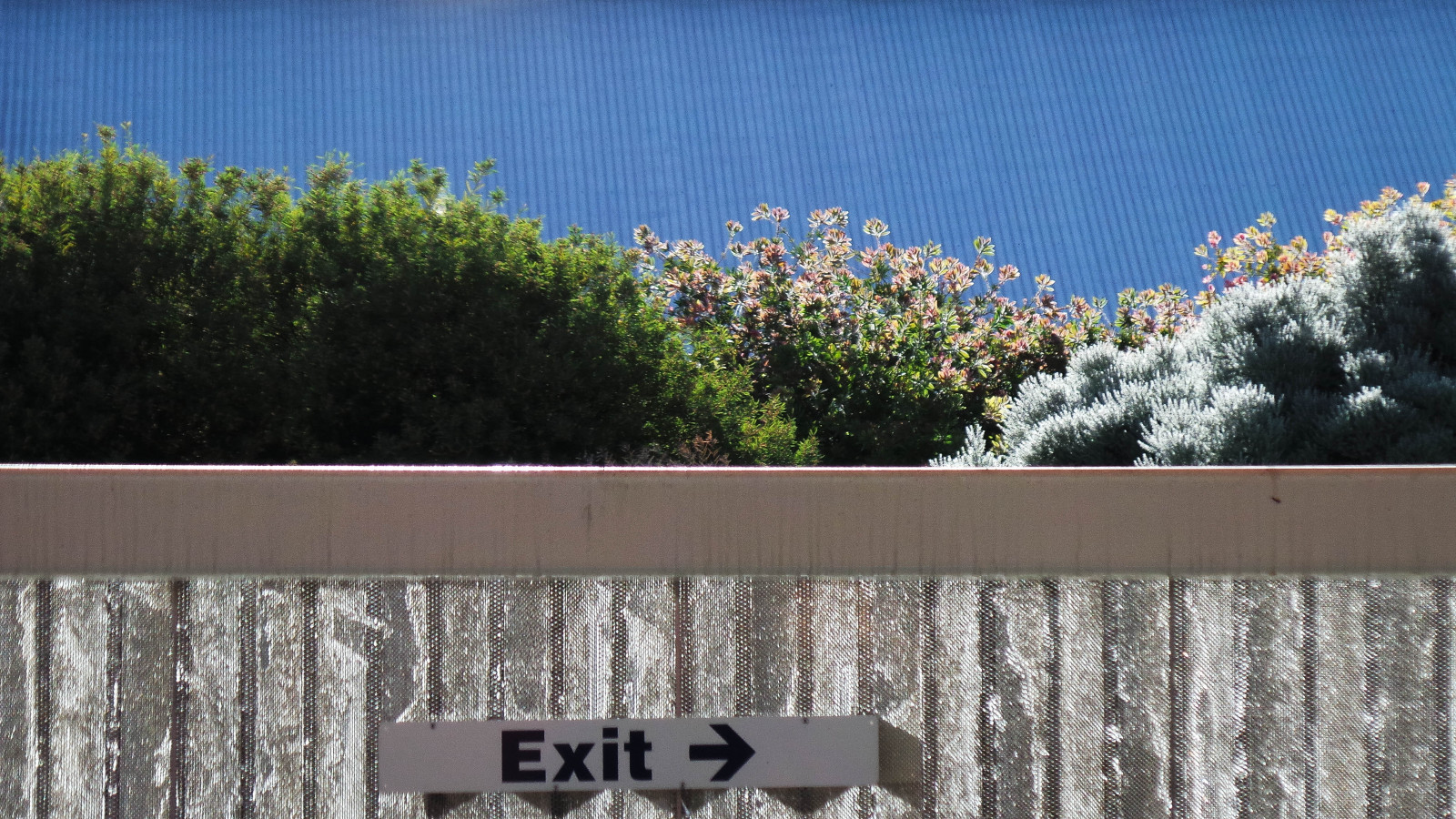 rostlina, stěna, strom, nebe, obytný prostor, plot, keř, tráva, outdoor struktura, květ, jaro, Dům, střecha, fasáda