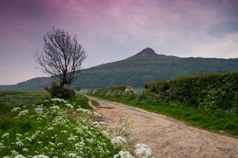 해돋이,흐린,5,루비 10,루비 15,태양 광 5