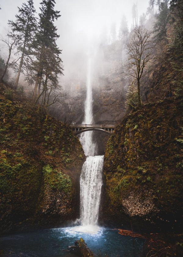 water,water resources,sky,plant,natural environment,fluvial landforms of streams