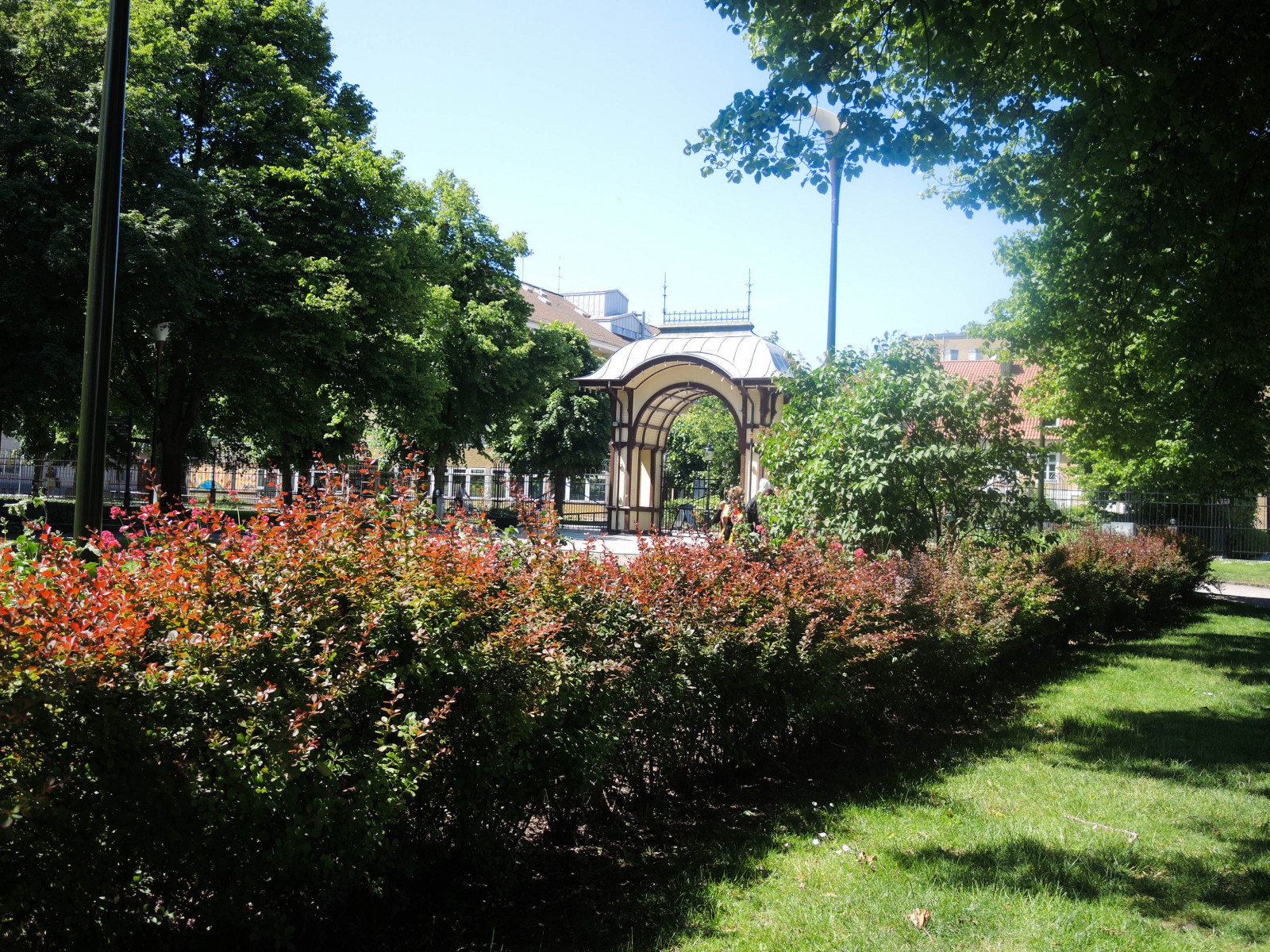 zahrada, město, městský, park, Švédsko, zadní dvorek, majetek, strom, květ, yard, folketspark, pouliční umění, Malmo, plantáž, trávník, vodní, keř