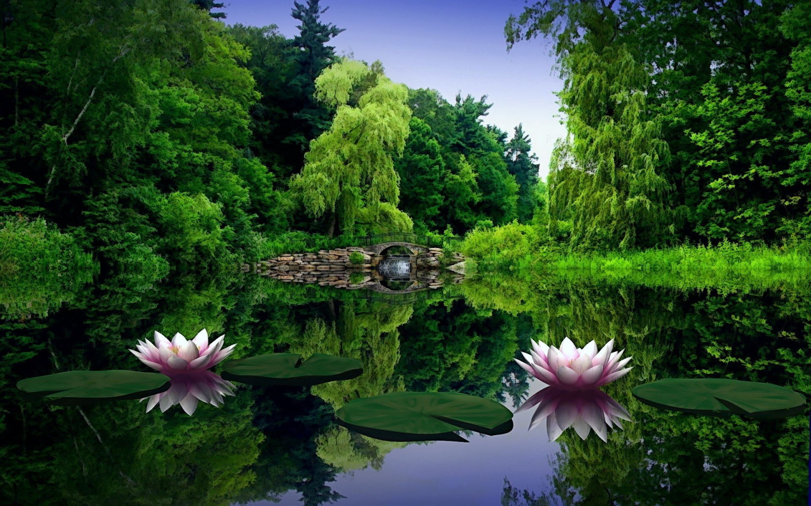 Hintergrundbilder Wasserlilien, Wasser, Blätter, Teich, Brücke, Bäume