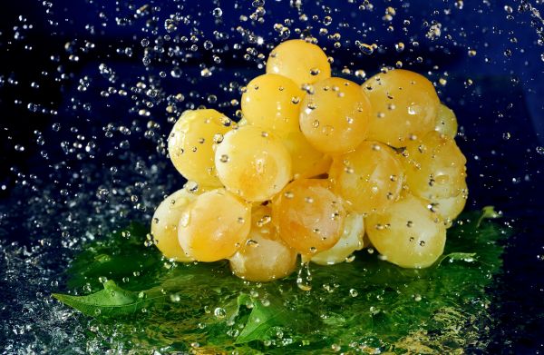 Grape,berry,leaves,bunch,water,drops