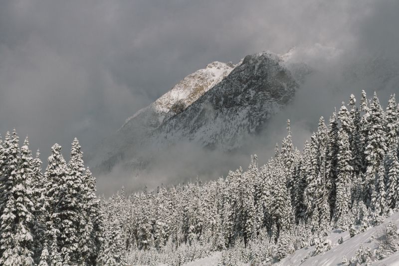 sníh, zima, horských reliéf, nebe, strom, mrak