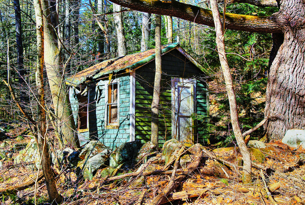 les, zřícenina, dřevo, Dům, zlomený, venkovský, chatrč, strom, rostlina, les, domů, skládka, zálesí, outdoor struktura, prales, srub, abandonded, New Hampshire, Anherst