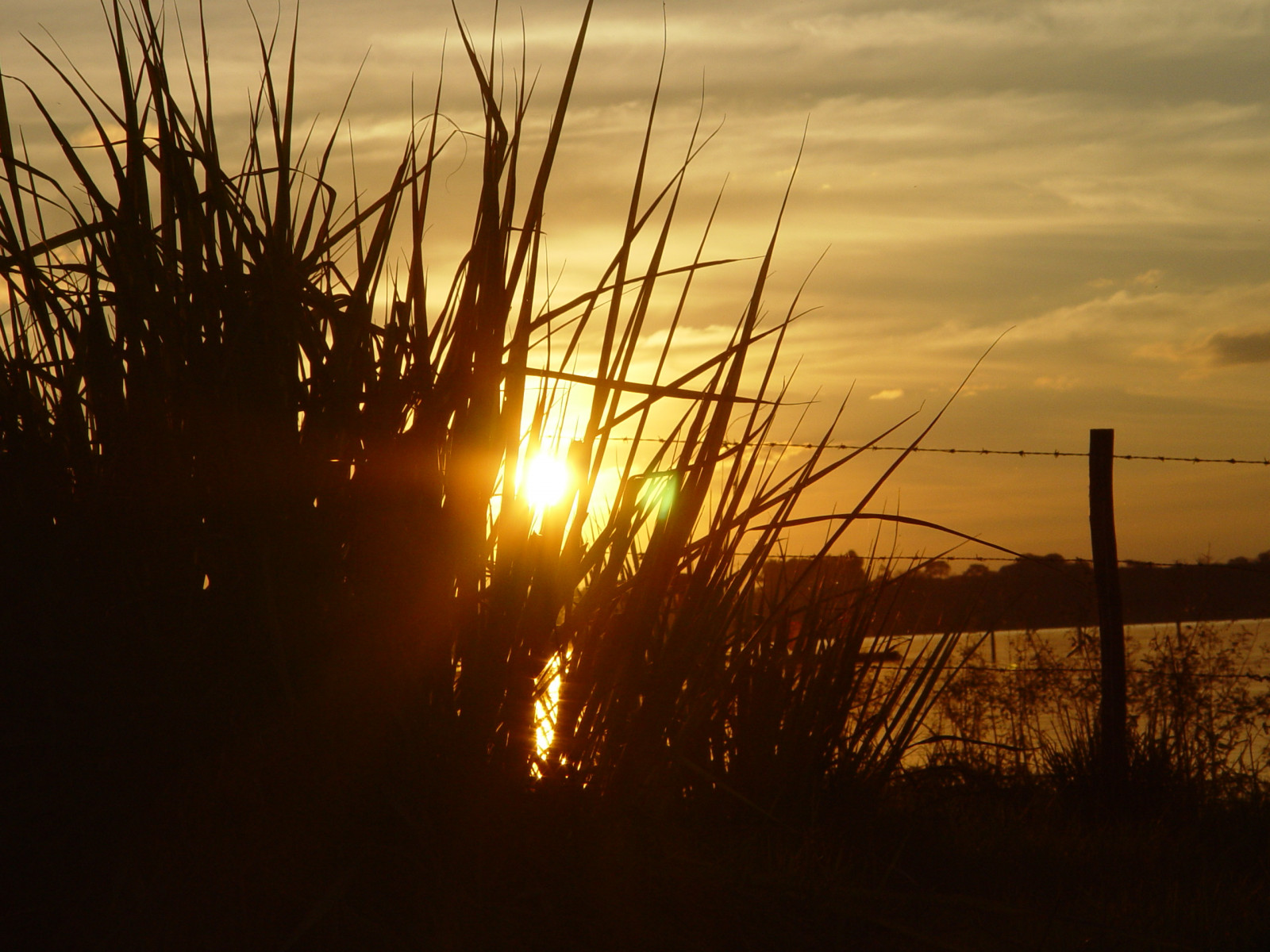 slunečnímu záření, západ slunce, voda, odraz, tráva, nebe, pole, větev, svítání, uklidnit, večer, ráno, slunce, horizont, atmosféra, slunce, strom, podzim, svítání, anawesomeshot, abigfave, theperfectphotographer, Soe, naturesgallery, impressedbeauty, aplusphoto, superbmasterpiece, goldenphotographer, platinumphoto, diamondclassphotographer, flickrdiamond, blueribbonwinner, colorphotoaward, ultimateshot, shieldofexcellence, supershot, excapture, passionphotography, naturewatcher, bec, astronomický objekt, tráva rodina, entardecer, pordesol, poente, Aplus