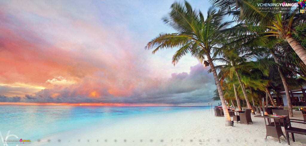 modrý, stromy, dívky, dovolená, slunce, slunečnímu záření, Dovolená, horký, strom, pláž, voda, bazén, dívka, Krásná, Sluneční svit, plavání, dlaněmi, ostrov, šťastný, model, Pod vodou, Pohled, kokosový ořech, píseň, kouzlo, potápět, živý, potápění, plavecký bazén, Vidění, vila, moment, dostihy, Maledivy, horní, ospalý, štíhlý, minuta, magicalmoments, na čtvrtiny, girlsasian, jumeirahgroup, luvmmy, 5D3, gaafualifuatoll, hermitagecollection, jumeirahdhevanafushi, talisespa, revivesandsanctuaries, beachrevives, oceanrevive, luxicmaldives, jumeirahdhevanafushiislandresortspa, jumeirahvittavelilagoonvillapool