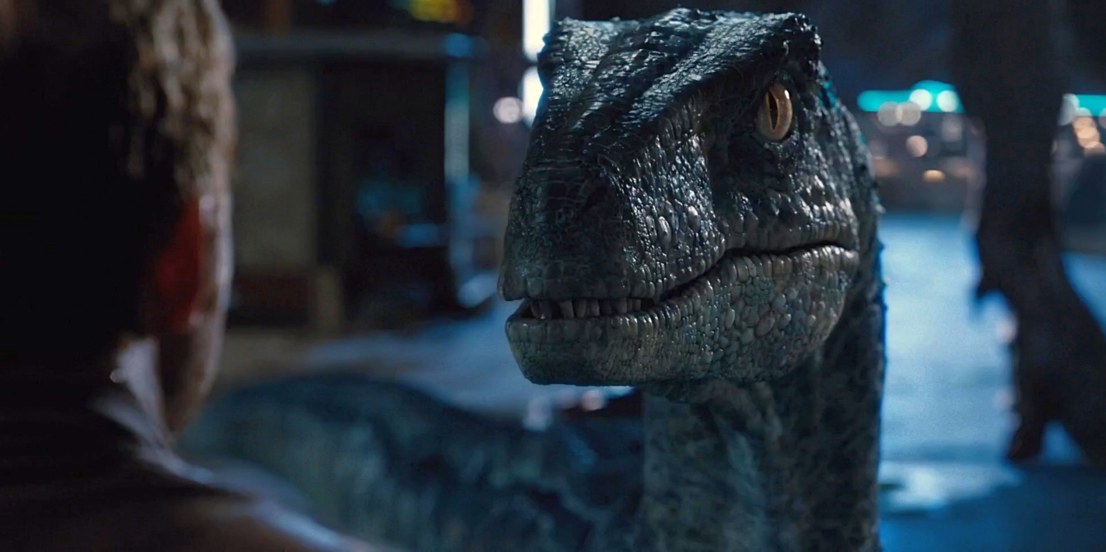 velociraptoři, Jurský Svět, dinosauři, zvěř, filmy, Snímek obrazovky