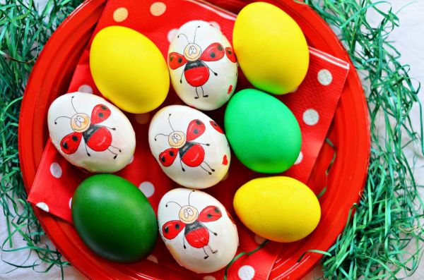 food, eggs, Plate, holiday, Easter, play