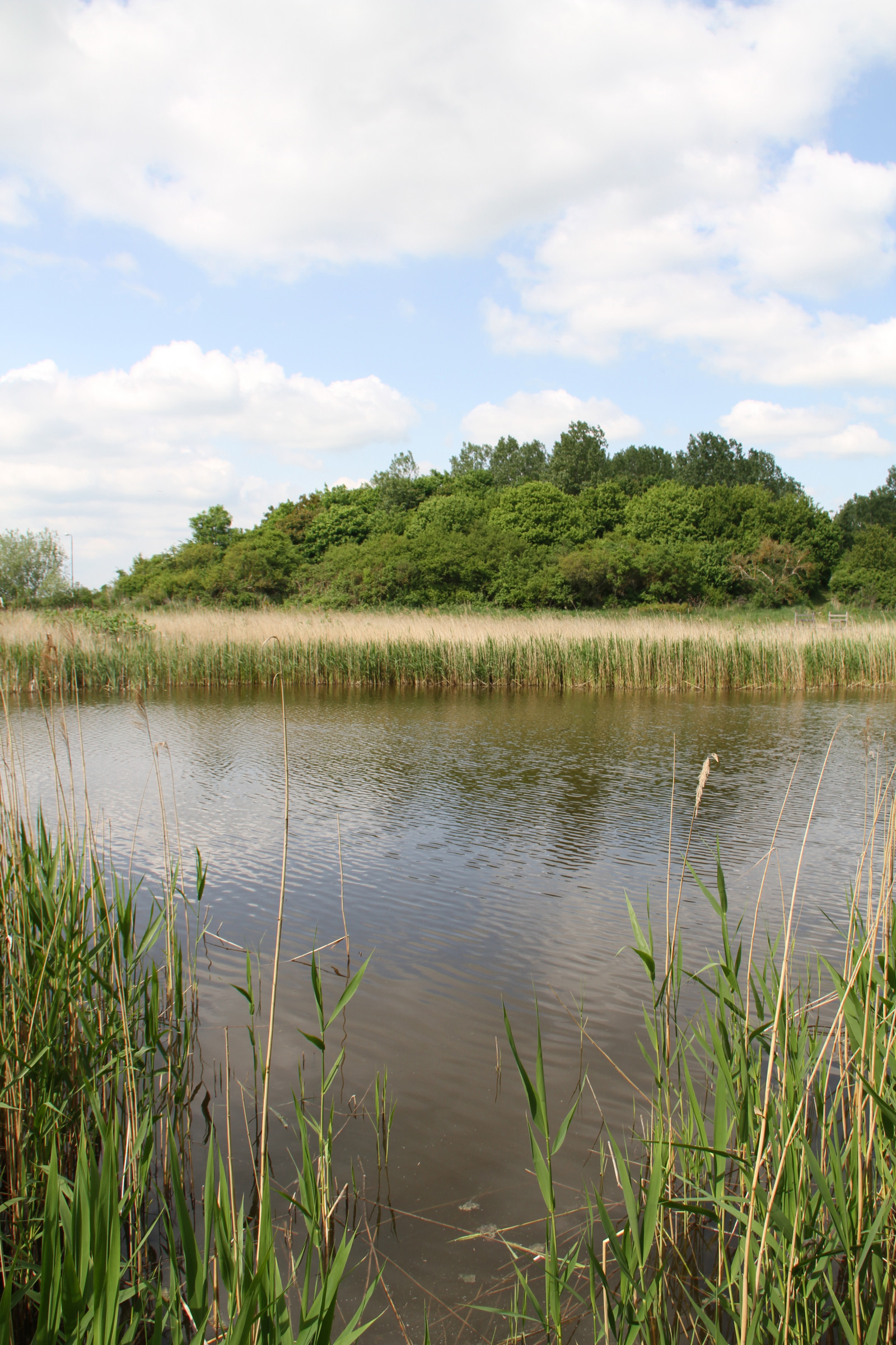 แนวนอน, ทะเลสาบ, น้ำ, ธรรมชาติ, การสะท้อน, หญ้า, แม่น้ำ, ถิ่นทุรกันดาร, บ่อน้ำ, ปลัก, พื้นที่ชุ่มน้ำ, ต้นไม้, ป่า, Trelleborg, ทุ่งหญ้า, alb ck, อ่างเก็บน้ำ, บึง, ทะเลสาบ, เขตชนบท, ถิ่นที่อยู่, สภาพแวดล้อมทางธรรมชาติ, ทางน้ำ, คุณลักษณะทางภูมิศาสตร์, ระบบนิเวศ, เนื้อน้ำ, บึง, บ่อปลา