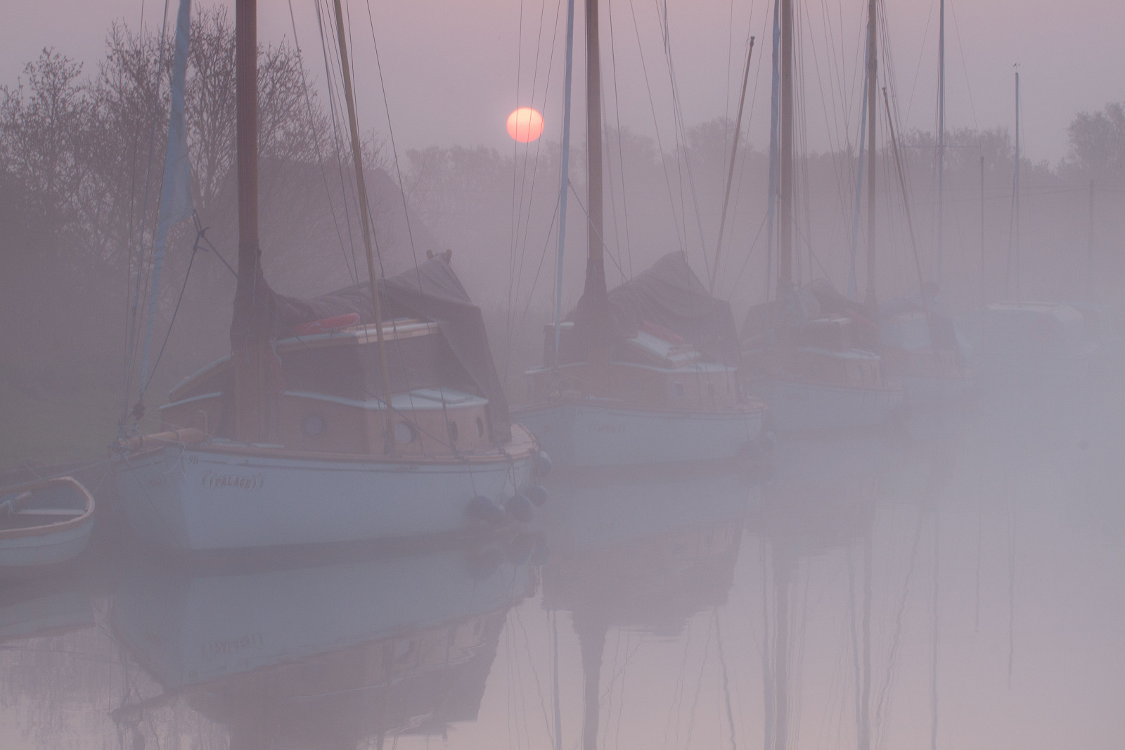 acqua, riflessione, cielo, la neve, inverno, legna, Alba, calma, blu, sera, mattina, nebbia, Sole, Canone, atmosfera, globo, Congelamento, foschia, andare in barca, albero, nebbia, alba, freddo, barche, bufera di neve, eos, immobilità, Norfolk, tempesta invernale, fenomeno, giuliano, imbonitore, Cavallo, Staithe