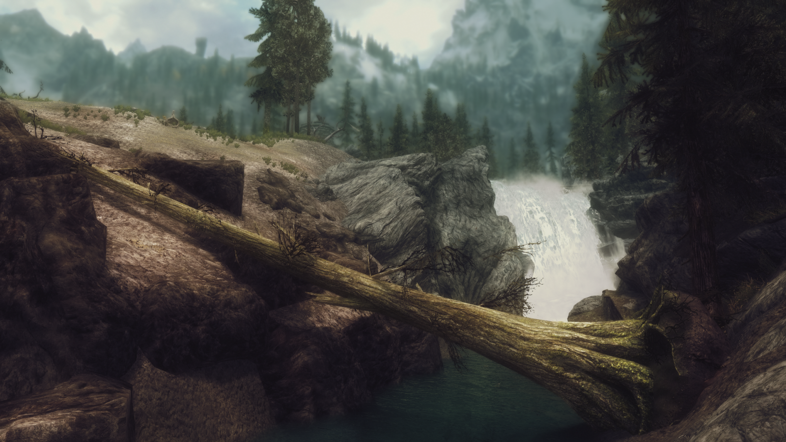 paesaggio, foresta, videogiochi, natura, valle, The Elder Scrolls V Skyrim, natura selvaggia, giungla, foresta pluviale, Terreno, montagna, immagine dello schermo, habitat, ambiente naturale, fenomeno atmosferico, landform, caratteristica geografica, fenomeno geologico