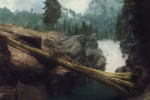landscape6forest6video games6nature6The Elder Scrolls V Skyrim6wilderness6jungle6rainforest6Terrain6screenshot6habitat6natural environment6valley6mountain6atmospheric phenomenon6landform6geographical feature6geological phenomenon