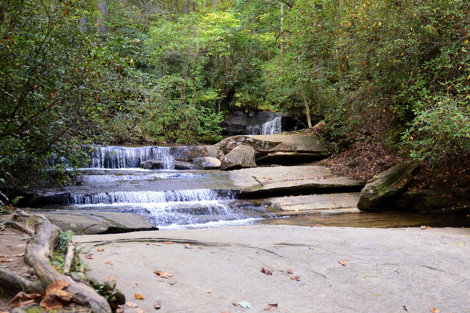stromy, krajina, les, hory, vodopád, voda, Skála, Příroda, park, venku, stůl, řeka, Spojené státy americké, džungle, proud, turistika, banka, přírodní rezervace, Carolina, strom, list, hora, túra, rostlina, les, nás, vodní tok, jižní, Rychlý, zátoka, jižní, Stát, prohlížení památek, zálesí, tělo z vody, vodní prvek, národní park, vnitrozemí, koryto, arroyo, vodní zdroje, přítok, riparian zone