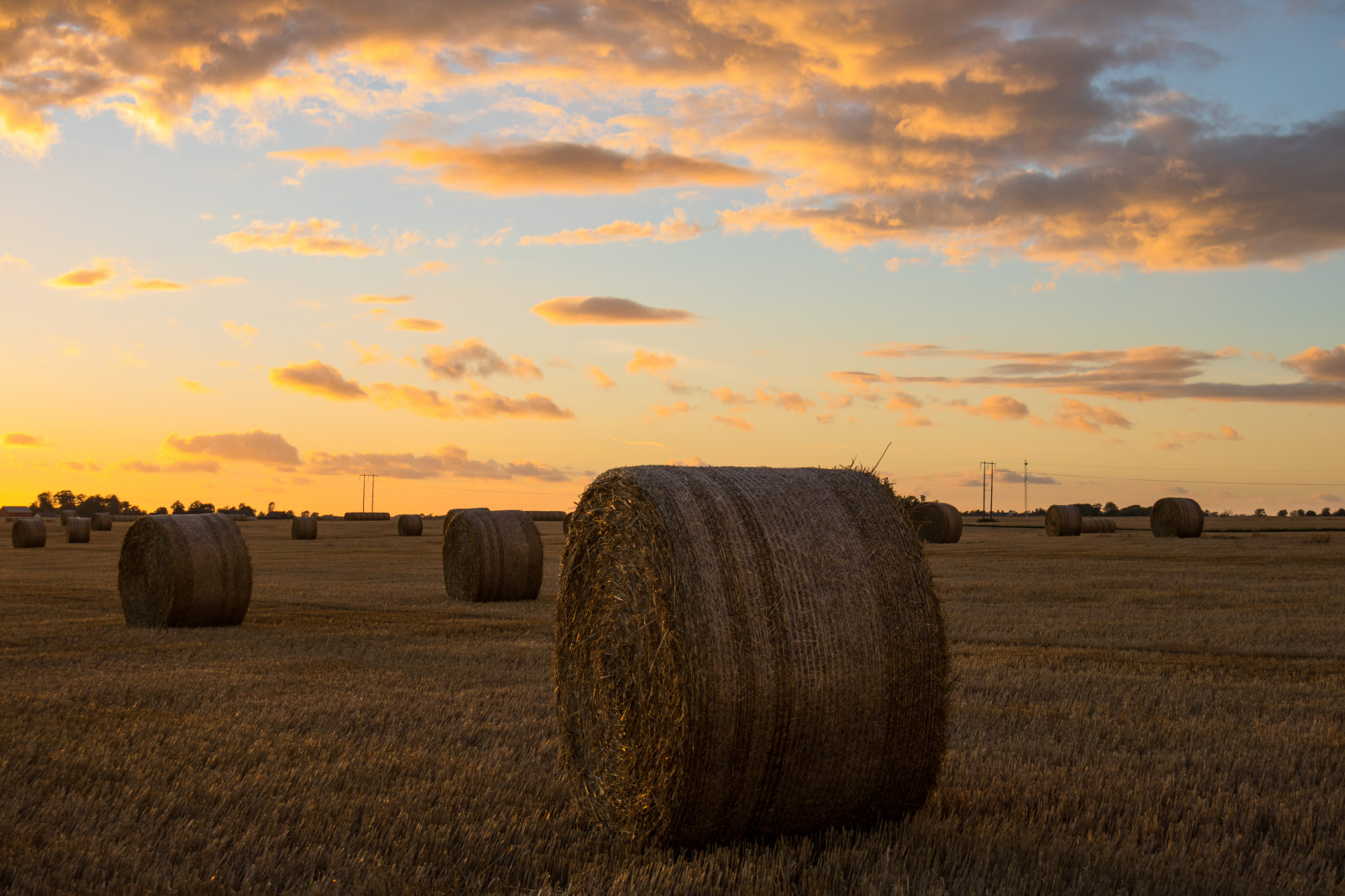 krajina, západ slunce, nebe, vozidlo, pole, svítání, večer, ráno, horizont, seno, mrak, lučina, zlatá hodina, nebe, solnedg ng, moln, s dersl tt, landskap, exif modelu canoneos760d, geocountry, Kamera aby kánon, geocity, Model fotoaparátu canoneos760d, geostate, geolocation, EXIF čočka efs18200mmf3556is, exif aby kánon, EXIF isospeed 100, exif focallength 32mm, EXIF otvor 63, s dra od, halmrulle, gyllenetimmen, stéblo, rohlíky, strawrolls, zemědělství, prostý, prérie, oříznutí, půda, venkov, tráva rodina